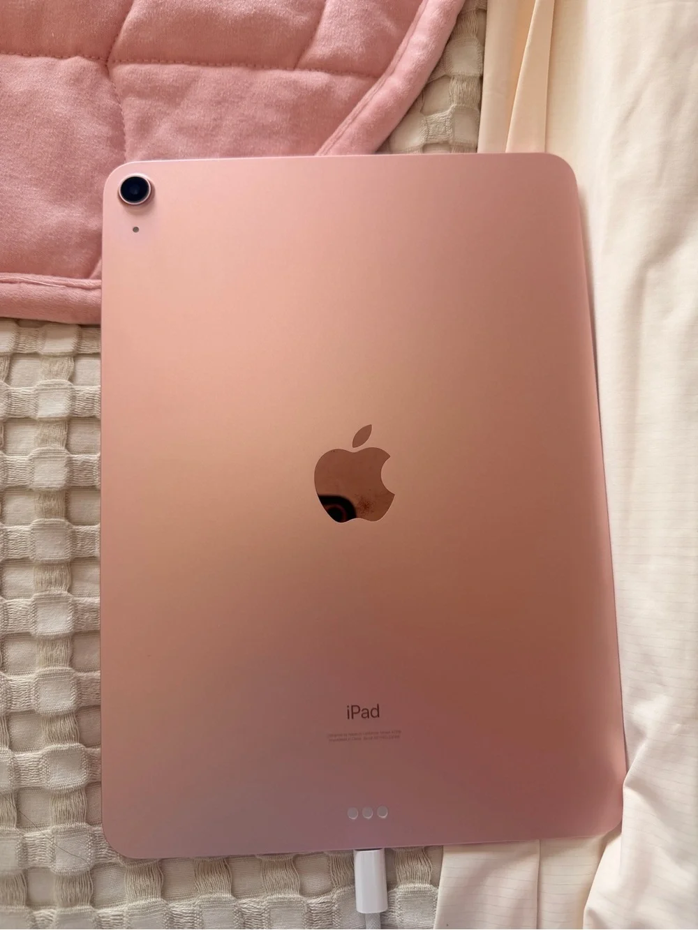 Apple iPad in Rose Pink Aluminum Finish 256 GB